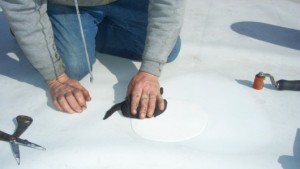 flat roof repair step 2