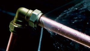 Indetify and fix water intrusion