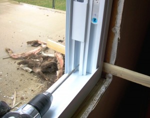 If the jamb is not plumb, remove screws and shims and start over.