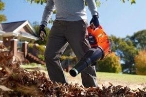 Echo 58V cordless blower (2)