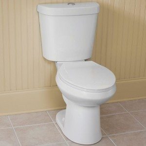Glacier Bay High Efficiency Toilet